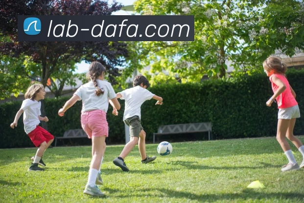 大发彩票服务体系